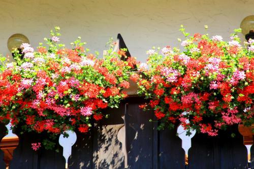 Bed & Breakfast Tannerhof