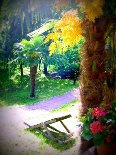 Bed & Breakfast Tannerhof
