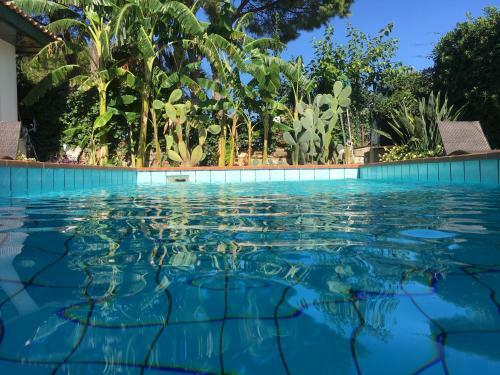Bed & Breakfast Oasi Del Gabbiano