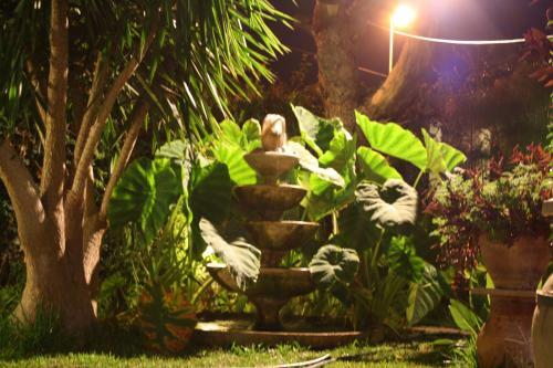 Bed & Breakfast Oasi Del Gabbiano