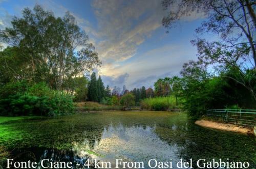 Bed & Breakfast Oasi Del Gabbiano
