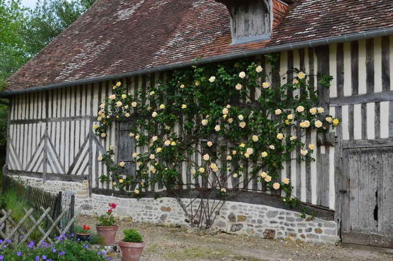 Bed & Breakfast Manoir Du Lieu Rocher