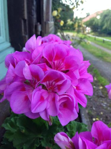 Bed & Breakfast La Baronnie