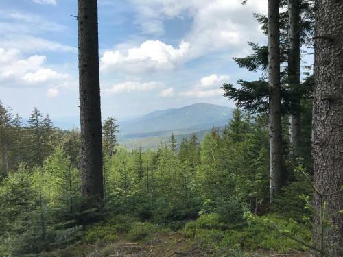 Apartamento Ferienwohnung Magdalena