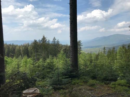 Apartamento Ferienwohnung Magdalena