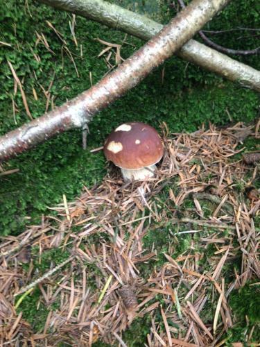 Apartamento Ferienwohnung Magdalena