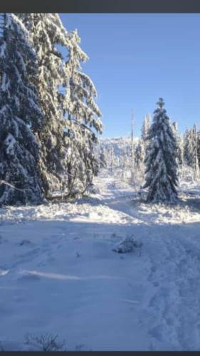 Apartamento Ferienwohnung Magdalena