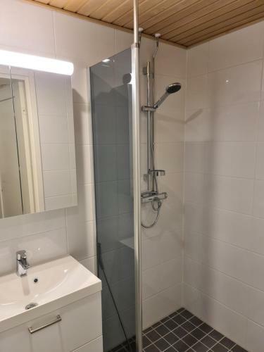 Apartamento Levibooking Lost In Levi Apt 102