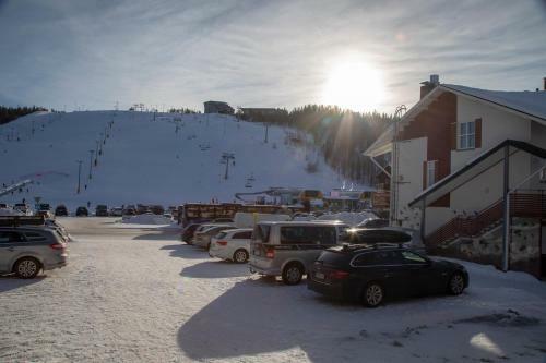 Ski Center Alpine Houses
