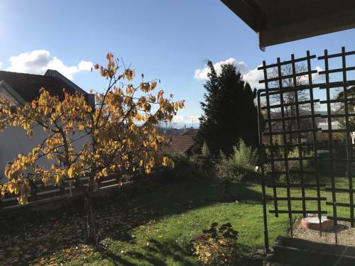 Apartamentos Ferienwohnungen Jonuscheit