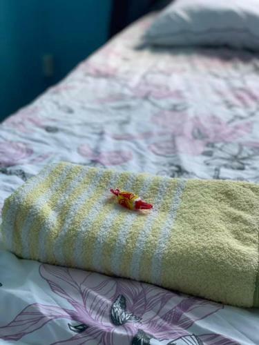Hostal Maatilamatkailu Usvapelto