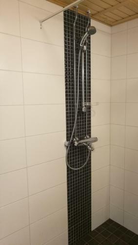Rovavisit Apartments Paroni