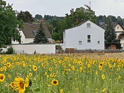 Haus Im Gr�nen
