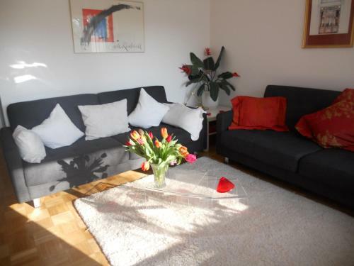 Apartamento Ferienwohnung In Bonn