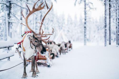 Forenom Serviced Apartments Rovaniemi Valtakatu
