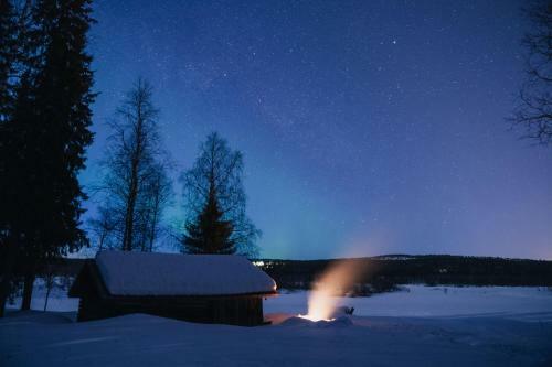 Ollero Eco Lodge (including A Glass Igloo)