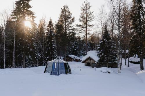 Ollero Eco Lodge (including A Glass Igloo)