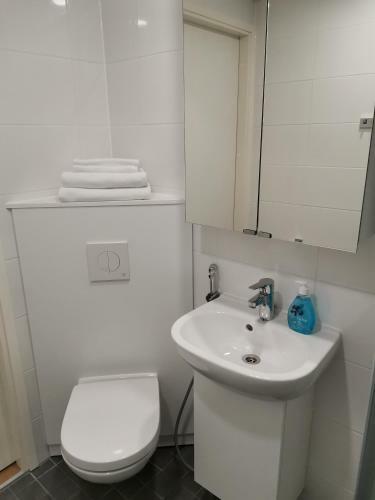 Saaga Apartments Rovaniemi
