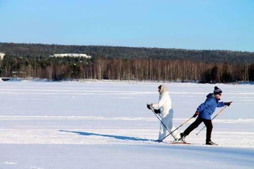 Cosy Studio Apartment - Perfect For Your Stay In Rovaniemi!