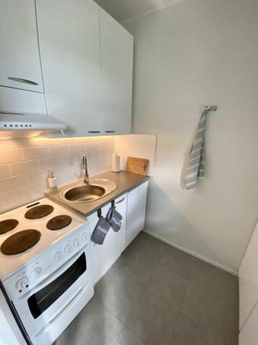 Cosy Studio Apartment - Perfect For Your Stay In Rovaniemi!