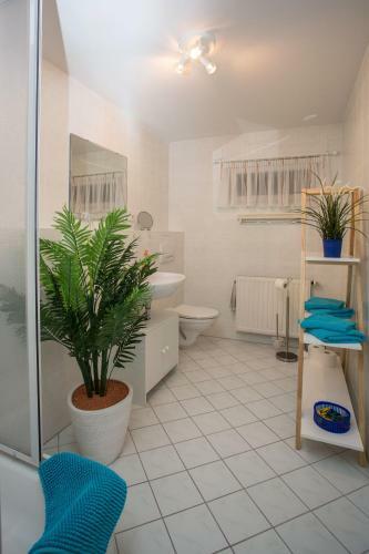Apartamento Ferienwohnung Moritzburg
