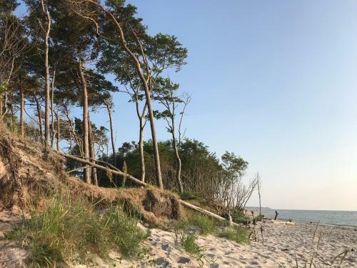 "lotsenhaus" By Ferienhaus Strandgut