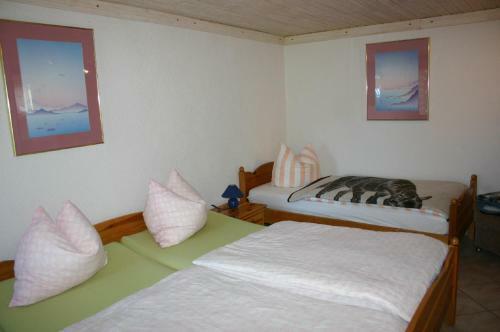 Boddenbrise