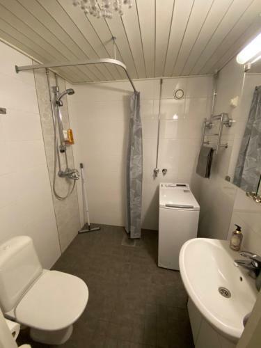 Apartamento Wild About Lapland