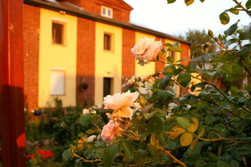 Apartamentos Ferienwohnungen Amselweg