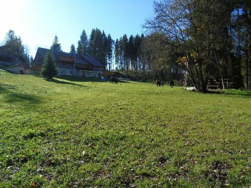Apartamento G�stehaus Girenhof