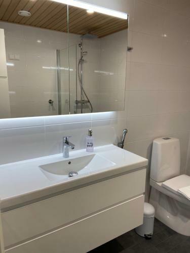 Apartamento Turun Blanka