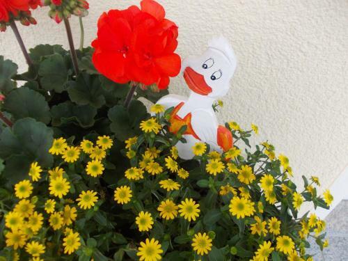 Hostal Pension Und Weingut Moselblick