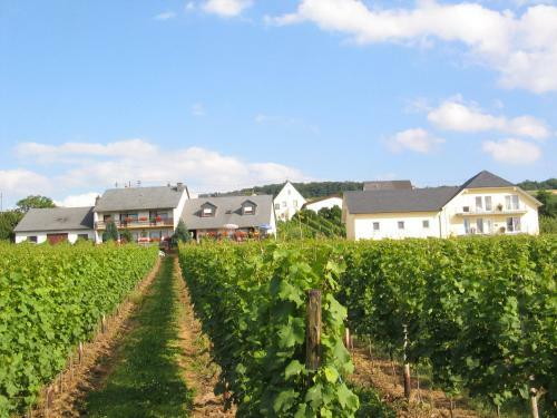 Hostal Pension Und Weingut Moselblick