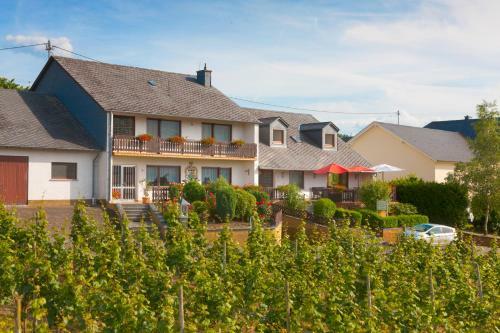 Hostal Pension Und Weingut Moselblick