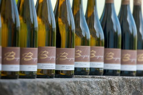 Hostal Pension Und Weingut Moselblick