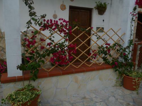 B&B La Taverna Dei Ciucci