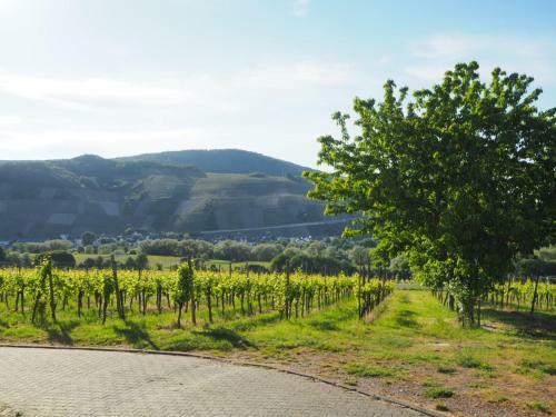 Apartamento Weingut & Gastehaus Andreas Erz