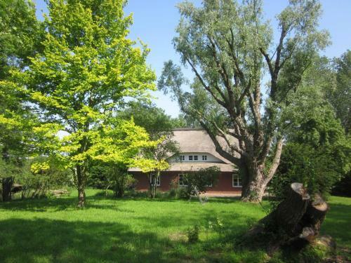 Reetdachhaus Eiderblick
