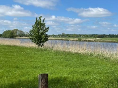 Reetdachhaus Eiderblick