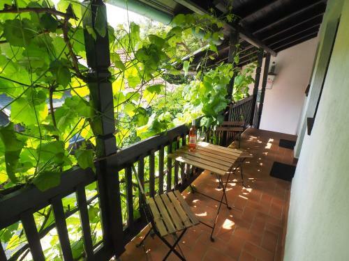 Hostal Guest House Sara Latin