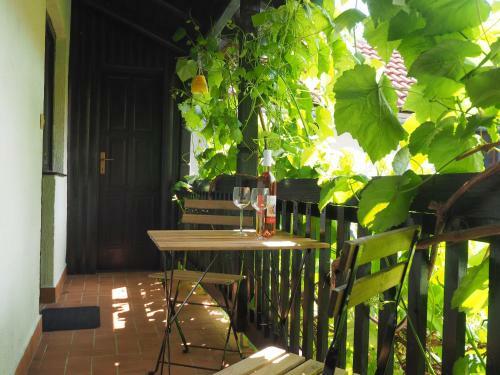 Hostal Guest House Sara Latin