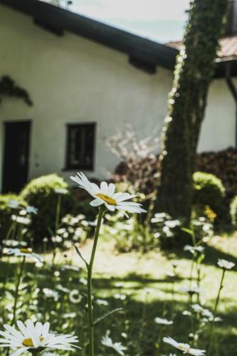 Apartamentos Gartenwohnung Tausendfreund Am Chiemsee
