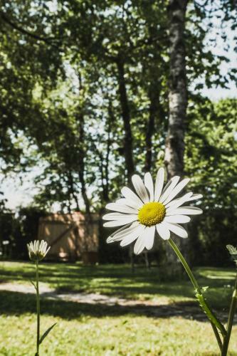 Apartamentos Gartenwohnung Tausendfreund Am Chiemsee