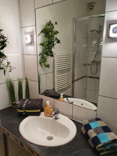 Apartamento Live To Lion