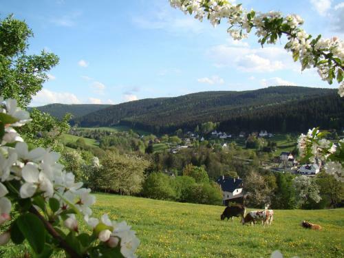 Apartamento Ferienwohnung Lang