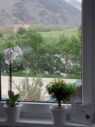Apartamento Ferienhaus Calmont