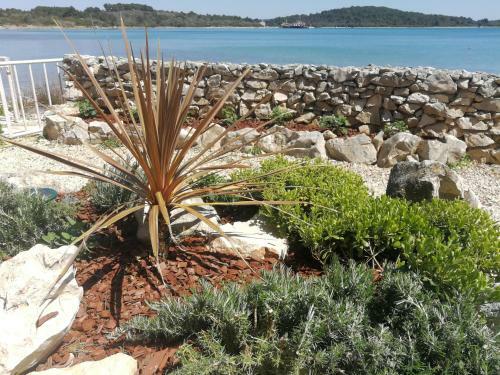 Apartmani Sandra I Davor Lonic