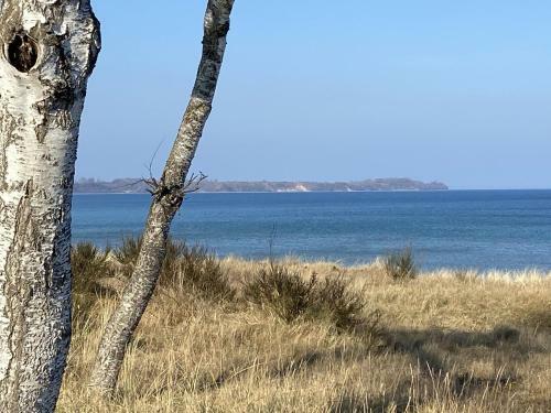 Apartamento Ferienhaus Solamar R�gen