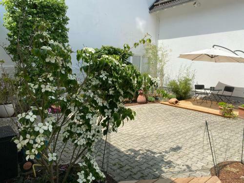 Apartamento Glockenstuhl @conny's