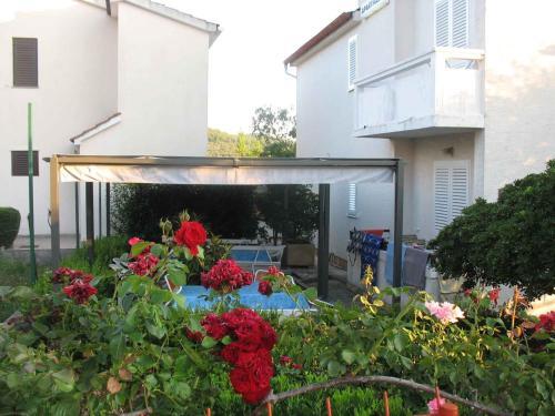 Apartment In Kukljica - Insel Ugljan 38783